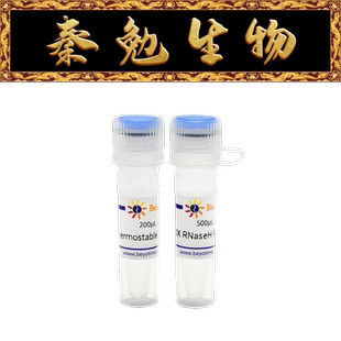 R7090L 碧云天 R7090S R7090M 耐热RNase