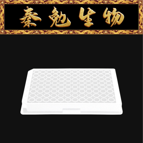 LABSELECT96孔PP微孔板33118