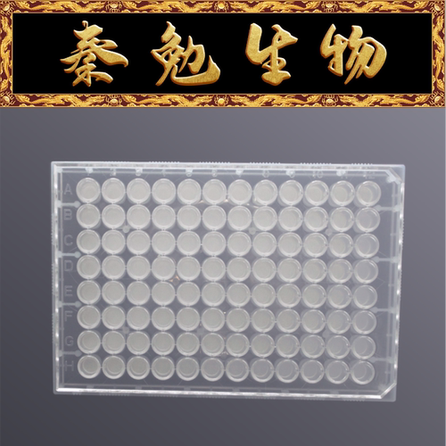 LABSELECT甄选96孔微孔过滤板