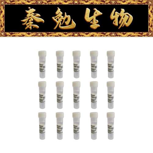 赛维尔SYBRGreenqPCR预混液