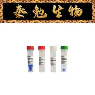 赛维尔 G3329-50 彩色示踪一步法基因组DNA去除与逆转录试剂盒