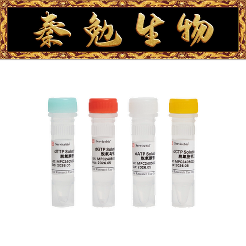 赛维尔dNTPs溶液套装G3059-01