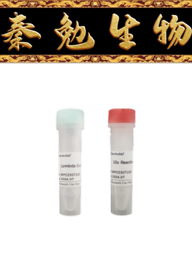 赛维尔 货号：G3439-1000U Lambda Exonuclease