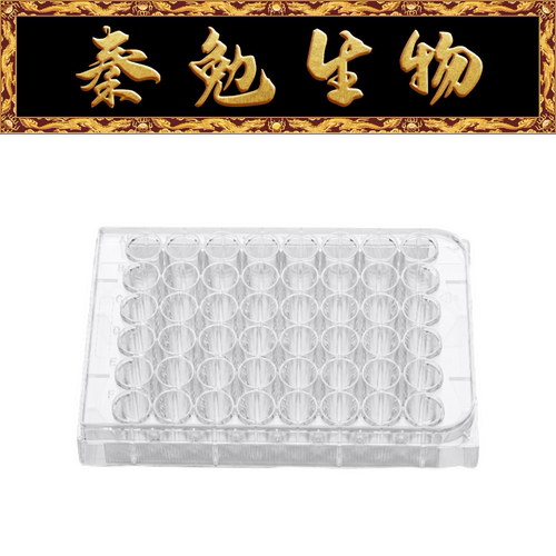 LABSELECT48孔细胞培养板11430-L