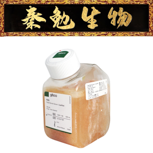 Gibco新西兰特级胎牛血清