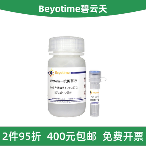 碧云天His-tag抗体(小鼠单抗)