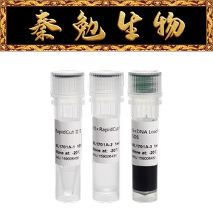 Biosharp白鲨 BL1701A RapidCut Ⅱ DpnI 快速限制性内切酶
