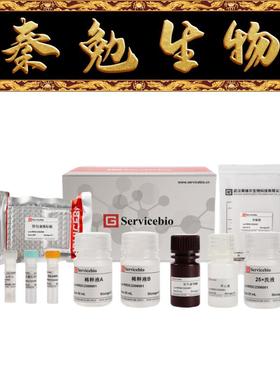 赛维尔 货号：GER0007-48T Rat C-Reactive ProteinCRP ELISA Kit