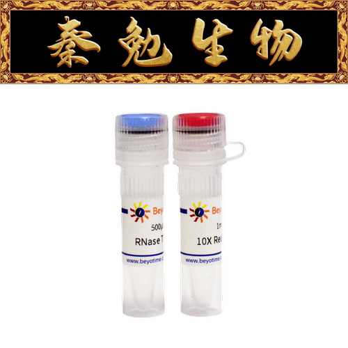 碧云天R7096核糖核酸酶T1