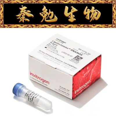 LipofectamineRNAiMAX转染试剂