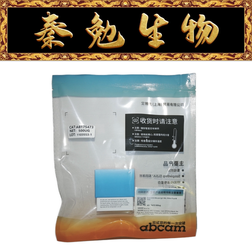 Abcam山羊抗小鼠IgGH&L