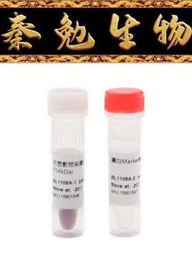 Biosharp白鲨 BL1106A 可显影预染蛋白Marker（12-154kDa）