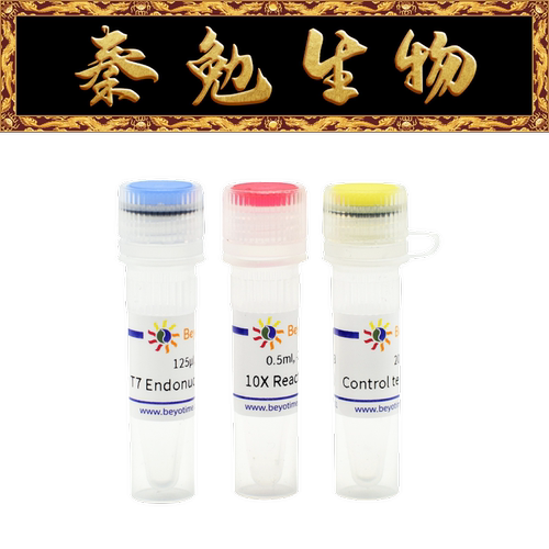 碧云天T7EndonucleaseID7080S