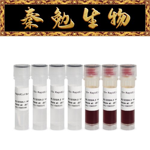 Biosharp白鲨RapidCutBamHI