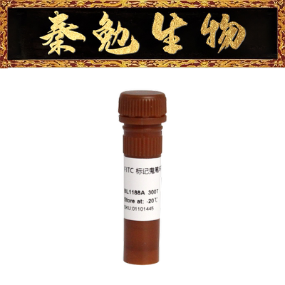 Biosharp标记鬼笔环肽BL1188A