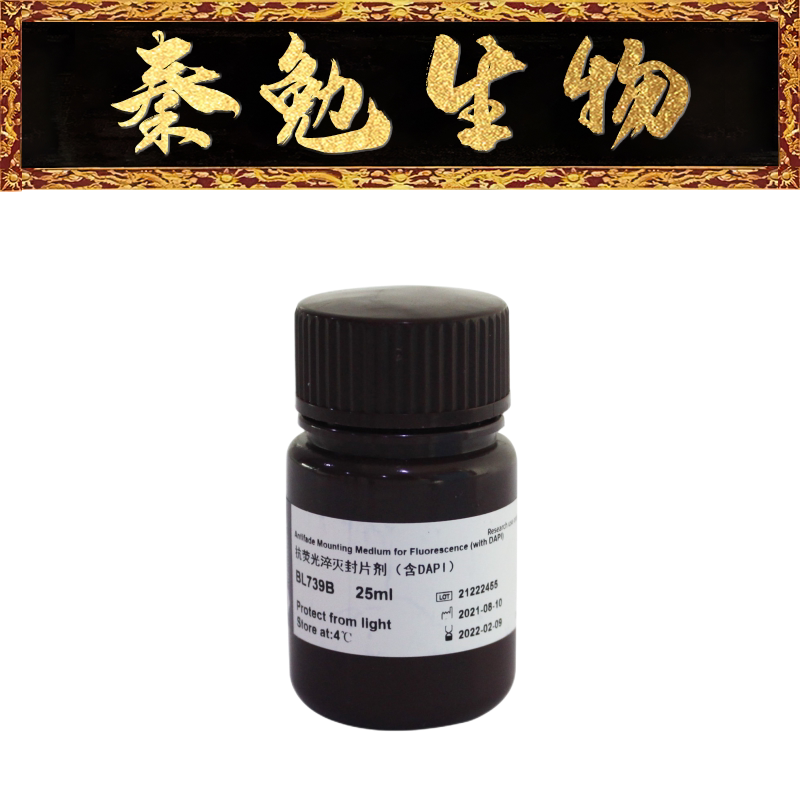biosharp 货号:bl739b 抗荧光淬灭封片剂(含dapi)