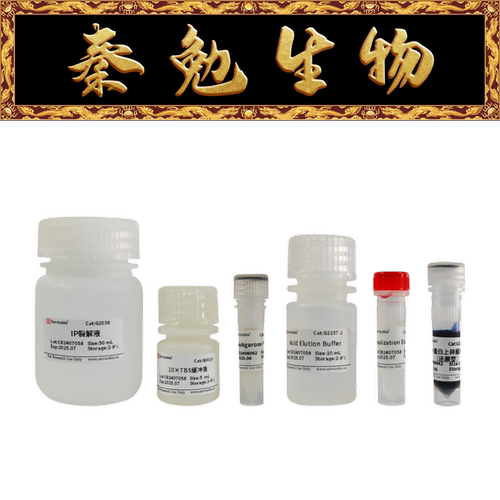 赛维尔蛋白免疫沉淀试剂盒