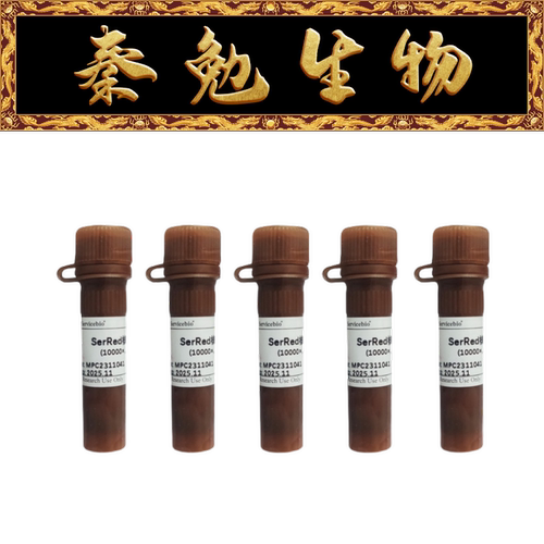 赛维尔SerRed核酸染料