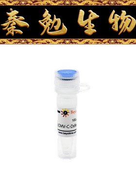 碧云天 D2624-1μg/D2624-100μg pCMV-C-DsRed (红色荧光蛋白)