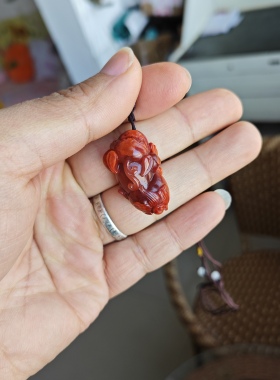 天然川料南红貔貅挂件老坑料 孤品 头尾火焰红 冰飘身子