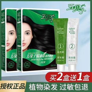 五贝子焗油膏草本植物调理盖白发染发剂植物天然在家染栗棕纯 正品
