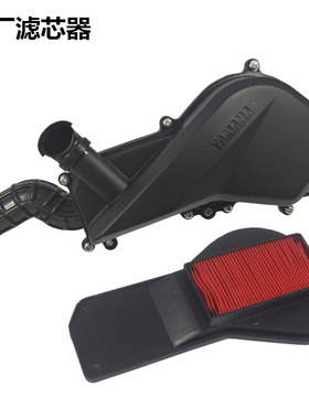 适用雅马哈踏板车凌鹰100原装配件ZY100T-7-12空气滤清器滤芯总成