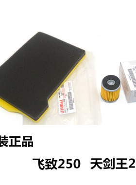 适用雅马哈摩托配件天剑王YBR250飞致YS250空气滤芯机油格过滤器