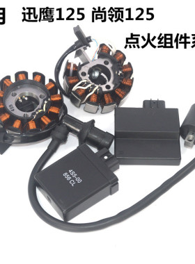 适用雅马哈迅鹰摩托车配件ZY125T-4-6-8点火线圈定子点火器高压包