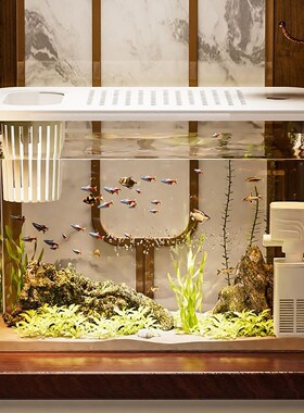鱼缸水族箱迷你鱼缸小型自循环面金鱼缸塑料透明客厅茶桌懒人造景