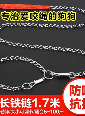 小狗狗牵引绳狗铁链子防咬断项圈宠物中小型犬栓狗脖圈遛狗狗绳子