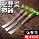 挖野菜神器挖蒜 小铲子挖荠菜园艺铁铲子种花挖土除草小铲子工具