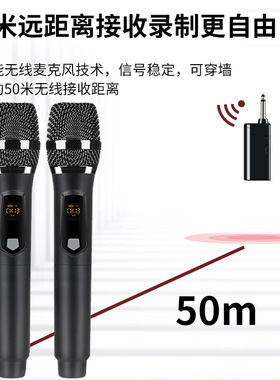 2.4G无线一拖二麦克风音箱
