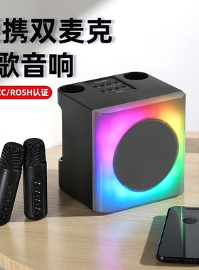便携K歌蓝牙音箱双麦功放一体
