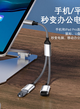 Type-C一拖二U盘鼠标扩展坞