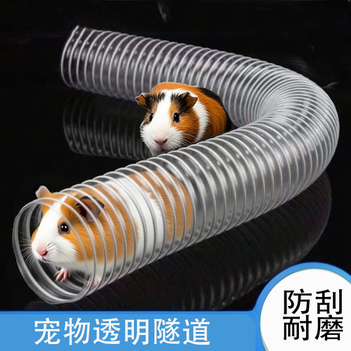 兔子荷兰猪花枝鼠貂透明隧道