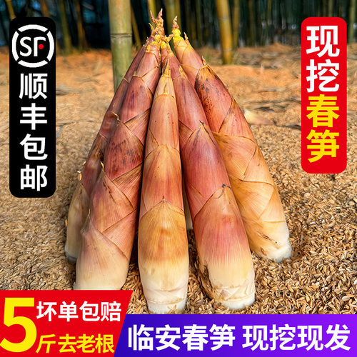 新鲜雷竹笋冬笋腌笃鲜天目雷笋