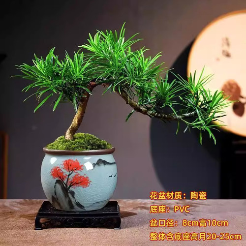 罗汉松盆景造型老桩植物盆栽室内客厅办公室绿植好养四季常青礼品