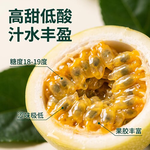 贵州黄金百香果钦蜜九号自熟鲜达