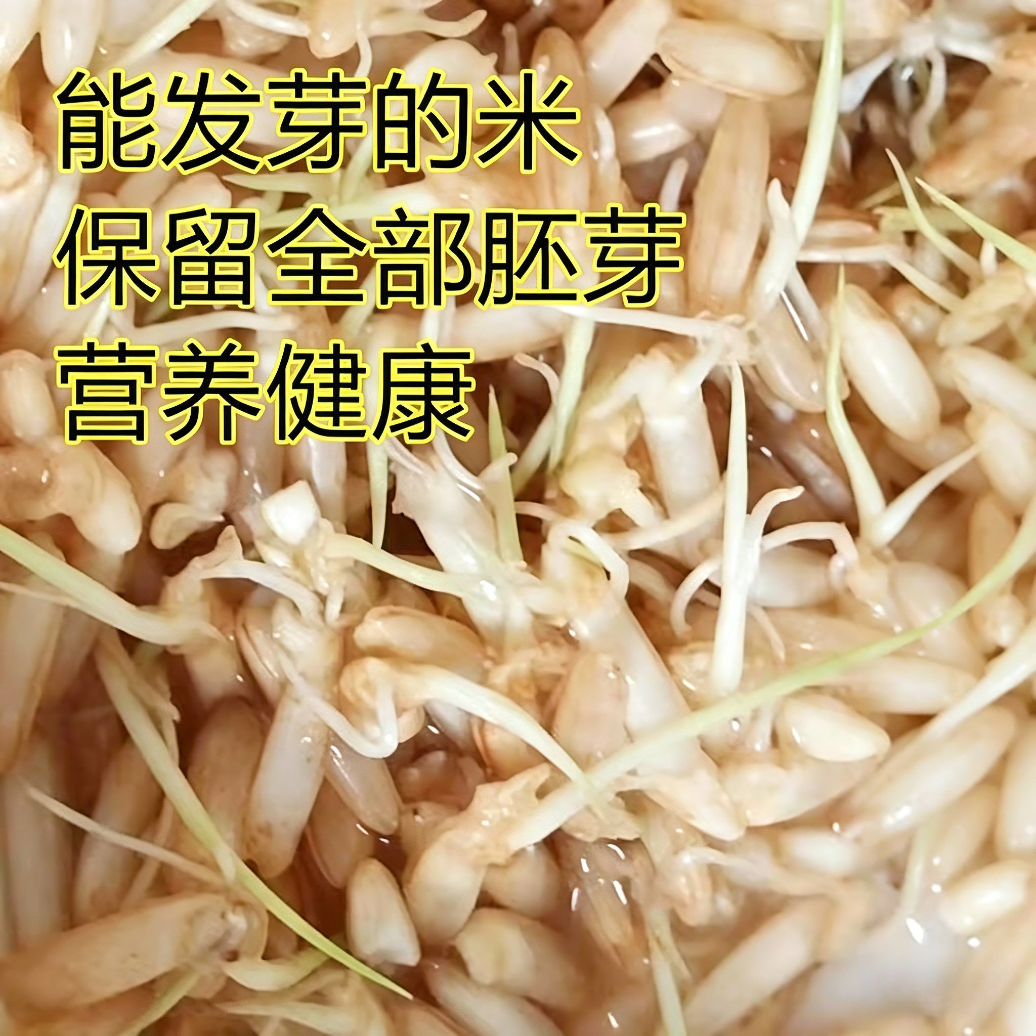 贵州糙米杂粮减肥专用新米带胚芽米皮传统农耕梯田粳米古稻米煮粥