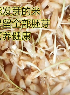 贵州糙米杂粮减肥专用新米带胚芽米皮传统农耕梯田粳米古稻米煮粥