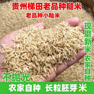 贵州胚芽米农家梯田自种新米长粒白米籼米不抛光不打蜡老品种大米