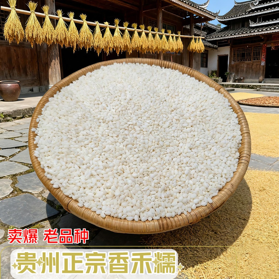 2025年贵州正宗香禾糯农家糯米高山梯田老品种做粽子米