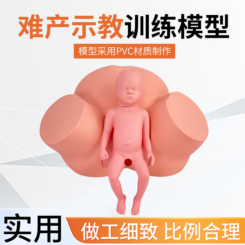 蓝蝶高级助产示教模型妇科难产