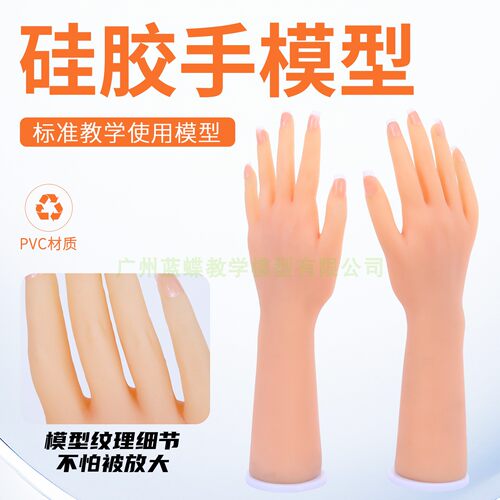 蓝蝶仿真硅胶手展示模型