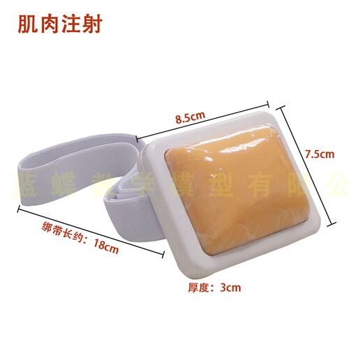 蓝蝶小号肌肉注射模型绑带