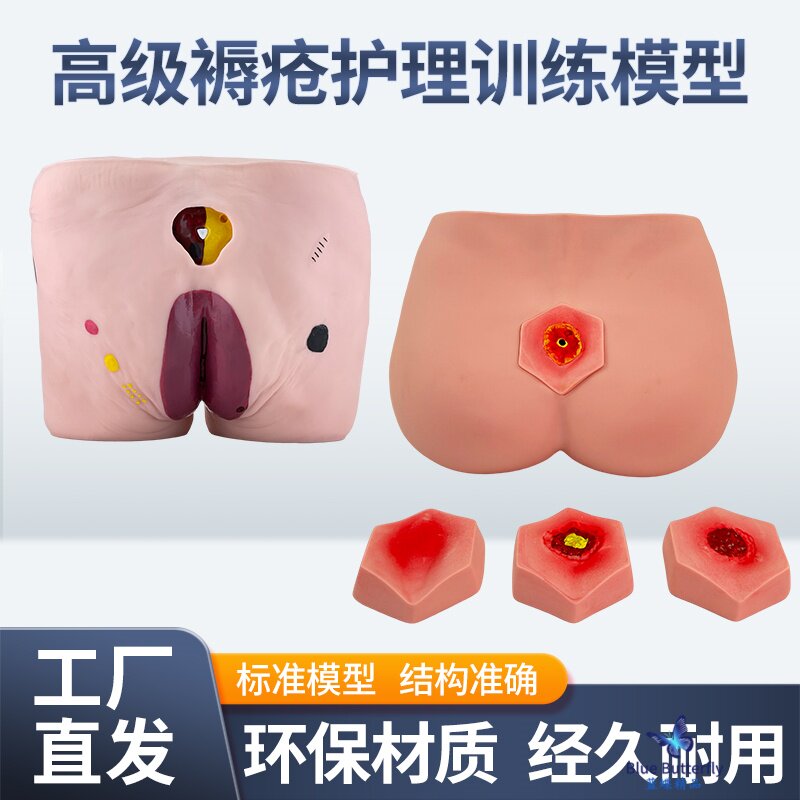 蓝蝶模型高级褥疮护理训练教学