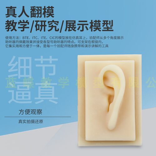蓝蝶硅胶耳朵模型软体仿真助听