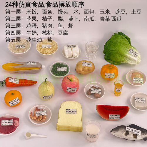 蓝蝶膳食宝塔24种仿真食物模型