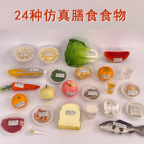 蓝蝶膳食宝塔仿真24种食品食物