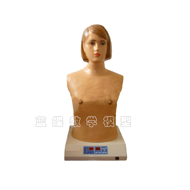 心肺听诊模拟人训练模型蓝蝶教学
